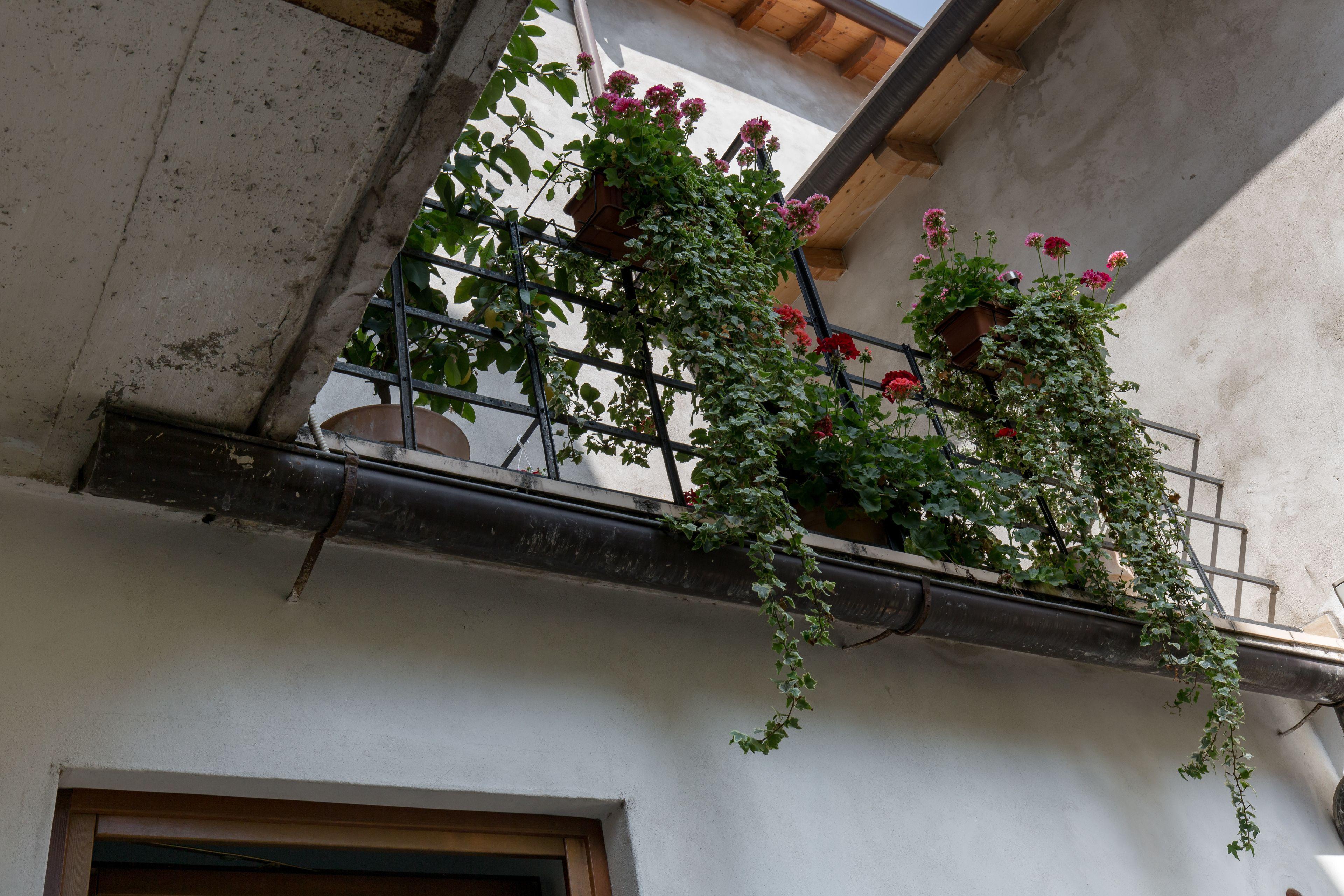 Veronetta House — Fotos 3